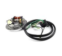 Magneto Bobina Accensione Per PWC Per SuperJet Per Wave Per Raider Per Venture Per Runner 1994-2016 2017 6R8-85560-10-00 Magneto Statore Generatore Bobina Statores