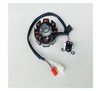 Magneto Per JOG 100 RS100 RSZ100 100cc 149QMG In DC Modello 8 Poli Moto JOG100 Kit rotore interno Statore di accensione Magneto Bobina