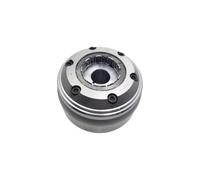 Magneto Rotor Assembly Cilindro magnetico Generatore a ruota libera Statore Bobina del volano compatibile con la bici YF300