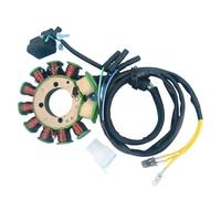 Magneto Stator Coil Estator De Moto Para TC200 RC200 TX200 TC RC TX 200 CG125-11 11 Pole AC Comp Statore Ricarica