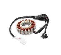 Magneto Statore Bobina 1C0-H1410-101C0-H1410-20 Bobina Statore Magnete Moto Per YP250R Per X-max 250 Per VP250 Per X-City 250 Per YP250RA Per X-max 250 ABS