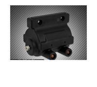 Magneto Statore Bobina Bobina Di Accensione Doppia Twin Power A Due Fili Per V-Twin 1965-1979 Per Touring Per Sportster Per XL Per Softail Per Dyna