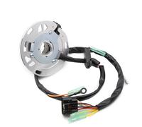 Magneto Statore Bobina Compatibile Con Per KX125 2003 2004 2005 Bobina Statore Magnete Moto Accessori 21003-1394 21003-0021