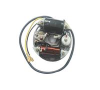 Magneto Statore Bobina Motore 2 Bobine Statore PUCH 6V 17W 35W Zundapp Kreidler Hercules PER Alternatore Accensione Bobina Statore PUCH 17 W 35 W