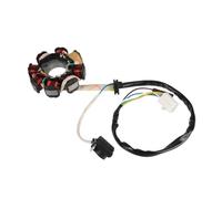 Magneto Statore Bobina Motore Bobina Di Accensione Per Moto, 6 Bobine, 5 Fili, Magneto-statore, ATV, Quad, Go-Kart, Magneti Di Ricambio Per 50cc, 70cc, 90cc, 110cc E 125cc.