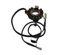 Magneto Statore Bobina Motore Bobina Magnete Per Moto Zongshen, Statore Per Motocicletta, Per LY200 ZS200GY LZX200GY-2 12V, 16 Bobine, 18 Bobine, Parte Di Innesco ZS250GS