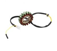 Magneto Statore Bobina Motore Bobina Statore Elettromagnetica Per Generatore Magneto Per Moto, Adatta Per Motori A Magnete CF250-18 Per Scooter ATV CF250
