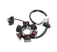 Magneto Statore Bobina Motore Bobina Statore Magnete Accensione Moto Bobina Statore Magnete 5 Fili 6 Bobine Per Activ 110 50 Unik 110 Nexxon 50 125