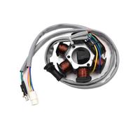 Magneto Statore Bobina Motore Bobine Dello Statore Del Generatore Di Accensione Magnete Per Motocicletta, Parti Del Generatore, Bobina Dello Statore, Comp. Per TYPHOON 50 2T 50