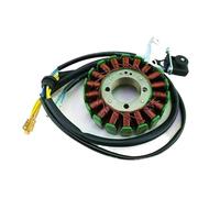 Magneto Statore Bobina Motore Bobine Dello Statore Del Magnete Della Motocicletta Bobine Dello Statore Del Magnete Dello Statore 18 Poli Bobina A 5 Fili 200C 250CC CG Dirt Pit Bike ATV Quad Ricambi