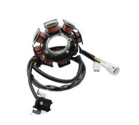 Magneto Statore Bobina Motore Generatore Di Accensione Per Moto, Magnete, Statore, Bobina, Piastra, Generatore Per Breeze 125 YFA1 2002 2003 2004 3FA-81410-00