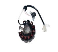 Magneto Statore Bobina Motore Kit Rotore Interno Accensione Statore Bobina Magnete Per Moto Scooter ZY125 Per CYGNUS Z ZY125T-3/4 Parti In 11 Poli 5 8 Fili