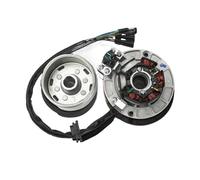 Magneto Statore Bobina Motore Kit Volano Magnete Statore Accensione 12V AC Con Luce Per YINXIANG YX 140cc 150cc 160cc KAYO BSE Per SDG SSR Pitsterpro Dirt Bike