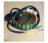 Magneto Statore Bobina Motore Motociclo A Tre Ruote ATV CG125 150 300 Bobina Generatore Motore Magnetico Statore 4 8 11 12 18 Poli 160W 200 250W 350W