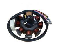 Magneto Statore Bobina Motore Motociclo A Tre Ruote ATV CG125 150 300 Bobina Generatore Motore Magnetico Statore 4 8 11 12 18 Poli 160W 200 250W 350W