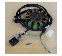 Magneto Statore Bobina Motore Motociclo A Tre Ruote ATV CG125 150 300 Bobina Generatore Motore Magnetico Statore 4 8 11 12 18 Poli 160W 200 250W 350W