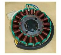 Magneto Statore Bobina Motore Motociclo A Tre Ruote ATV CG125 300 Adatto Per Bobina Generatore Motore Magnetico Statore 18 Poli 200 250W 350W