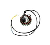 Magneto Statore Bobina Motore Poli 18 Bobina Statore Magneto 200W Motore Lifan Zongshen CG250 Motore 250cc 200cc ATV QUAD BUGGY Dirt PiT Bike Moto Go Kart