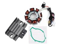 Magneto Statore Bobina Motore Regolatore Di Tensione Della Bobina Dello Statore Del Motore Per XT125 XT125 XT125R XT125X YBR125 YBR125ED YBR125ESD 3D9 Con Guarnizione