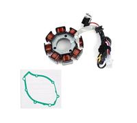 Magneto Statore Bobina Motore Regolatore Di Tensione Della Bobina Dello Statore Del Motore Per XT125 XT125 XT125R XT125X YBR125 YBR125ED YBR125ESD 3D9 Con Guarnizione