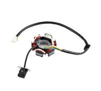 Magneto Statore Bobina Motore Statore Generatore Magnete Moto A 6 Bobine, 6 Poli, Per GY6 125cc 150cc Scooter, Quad, Go-kart, Ciclomotori