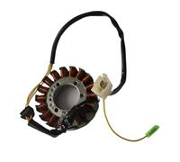 Magneto Statore Bobina Motore Statore Magneto A 18 Poli Alimentato A Corrente Continua Per Scooter, Ciclomotori, Motocicli CF250 V3 V5 CH250 CN250 Con Motore Verticale Raffreddato Ad Acqua Da 250 Cc