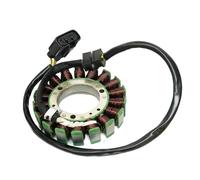 Magneto Statore Bobina Motore Statore Motore Magnetico Per CF450 500 550 600 ATV UTV SSV Bobina Motore Riparazione CF Codice 0GRB-032000-10000 0GRB-032000-10000