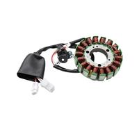 Magneto Statore Bobina OEM:1B9-H1410-00 Bobina Statore Magnete Moto Per VP125 Per X-City Per YP125 Per YP125R Per Tech Max Per X-max Per YP125RA ABS Per X-max