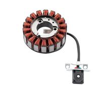 Magneto Statore Bobina Per Daelim Per VJF 250 125 Per VJF125 Per VJF250 (modelli EFI) DAE-31120-BA1-R300 Moto Bobina Statore Magneto Generatore Statores