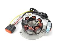 Magneto Statore Bobina Per GasGas Per EC 125 200 250 300 EC125 EC200 EC250 EC300 E EC250E EC300E ME250534005 Bobina Statore Magnete Generatore 1x