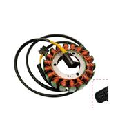 Magneto Statore Bobina statore a 18 poli MAGNETO ASSY 0800-032000-4000 Compatibile con ZFORCE 800 UFORCE 1000 ATV UTV