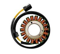 Magneto Statore Bobina statore a 18 poli MAGNETO ASSY 0800-032000-4000 Compatibile con ZFORCE 800 UFORCE 1000 ATV UTV Power