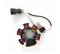 Magneto Statore Motore Coil per 50LX PIAGGIO50 50 2T | Compatibile con Piaggio Moto Tensione Misurazione Precisa Sostituzione Diretta Prestazioni Stabili Facile Installazione