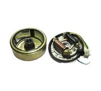 Magneto Statore Rotore Assemblaggio Generatore Statore Rotore Adatto for AX-100 Moto a due tempi AX100(Rotor and coil)