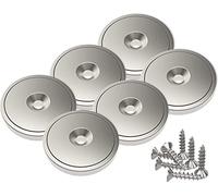 Magnetpro 6 pezzi magneti 25 kg forza 28 x 5 mm con capsula, magnete al neodimio a disco con base in acciaio con viti