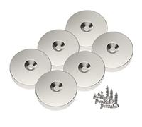 Magnetpro 6 pezzi magneti al neodimio a disco 25 x 5 mm, foro per testa svasata, trazione 10 kg con 6 viti