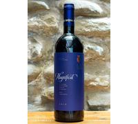 Magnificat 2019 Cabernet Sauvignon Forli Drei Dona Tenuta La Palazza 75 cl 14,5%