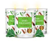 Magnificent 101 set di 3 candele di salvia pura + Palo Santo a lunga durata | 3,5 Oz ciascuno - Masterizzazione di 42 ore