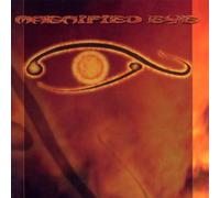 Magnified Eye - The Last Sun