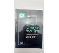 Magno Minore Come Soggetto Processuale