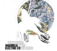 Magnolia Electric Co. - What Comes After the Blues by Magnolia Electric Co. (2005) Audio CD