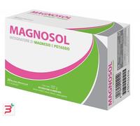 MAGNOSOL 20 BUSTINE EFFERVESCENTI