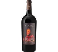 Magnum - Chianti Classico Riserva Il Grigio 2022 - San Felice Chianti Classico