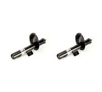 Magnum Technology 2x Ammortizzatore SX Dx Frontale per Renault Clioio i B / C57_