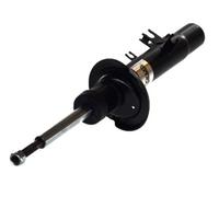 Bull's-Eye Ammortizzatore AGC032MT anteriore sinistro per Citroen C2 1.1 2003-2012