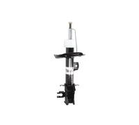 Ammortizzatore MAGNUM TECHNOLOGY AGC042MT sinistro