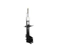 Ammortizzatore MAGNUM TECHNOLOGY AGF100MT