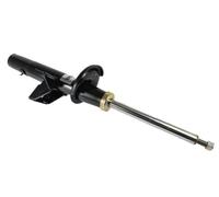 Magnum Technology AGG119MT Ammortizzatore per FORD