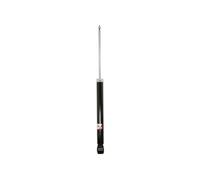 Magnum Technology AGG167 Ammortizzatore per FORD