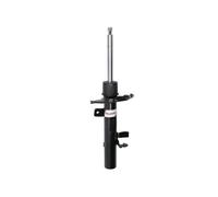 Magnum Technology AGG178MT Ammortizzatore per FORD